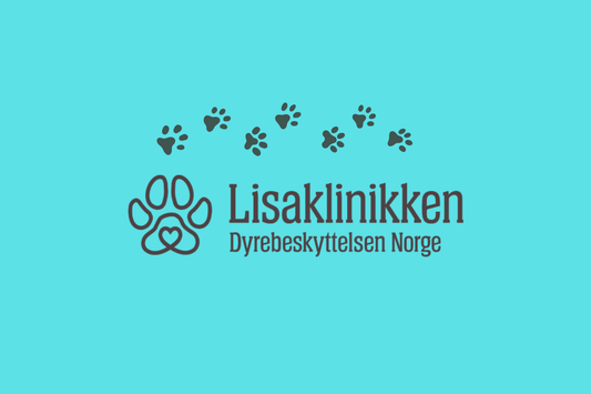 Why Lucky Spark Supports Lisaklinikken - Lucky Spark